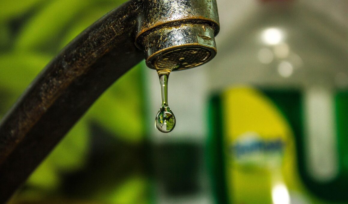 Copasa mantém alerta para intermitência no abastecimento em Vespasiano - Foto: Reprodução/Pixabay